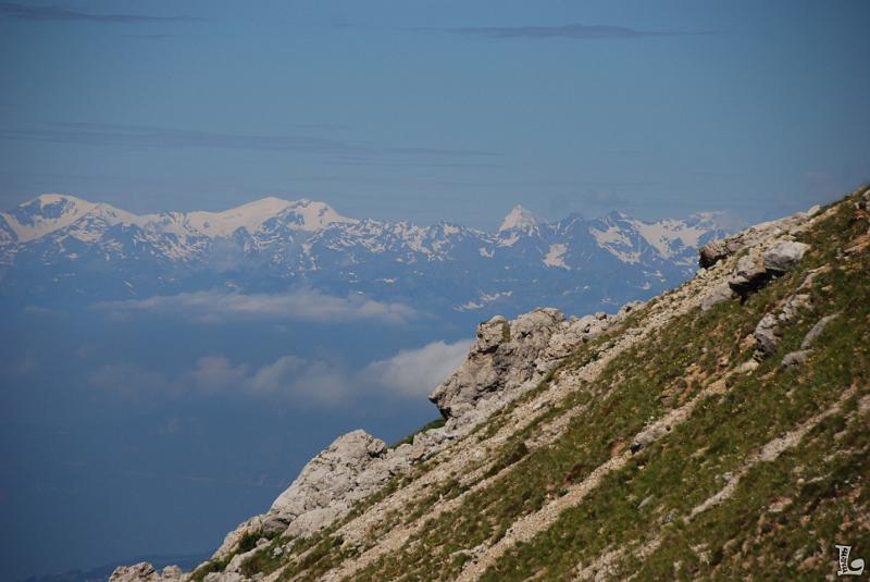Federspiel-010.JPG