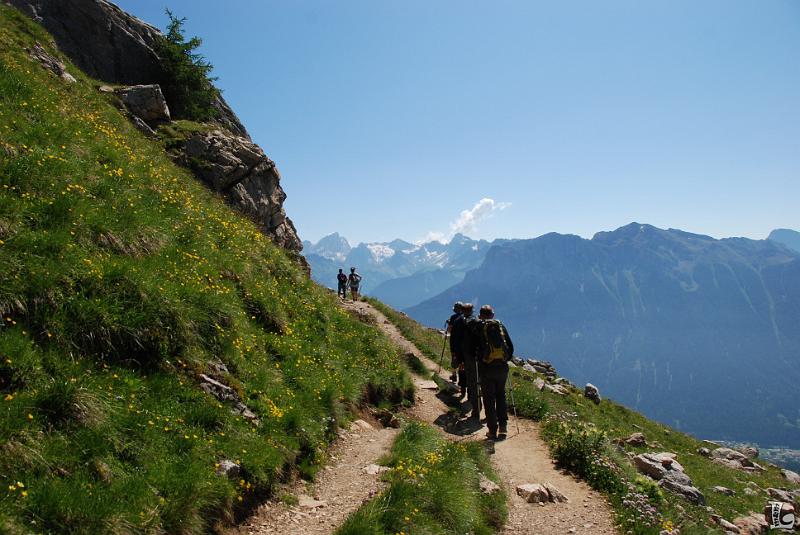 Federspiel-011.JPG
