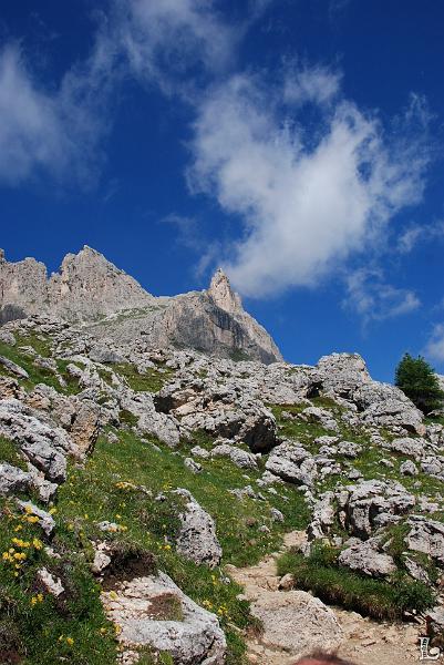 Federspiel-019.JPG