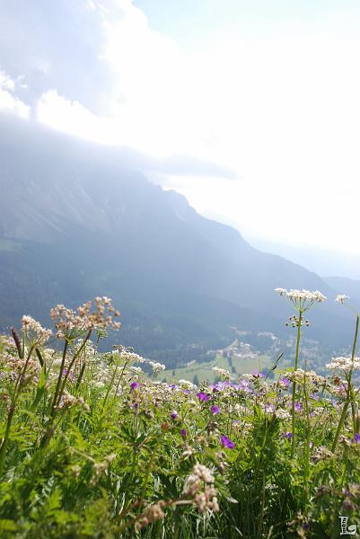 Federspiel-090.JPG