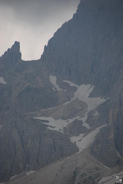 TorriVaiolet-018.JPG