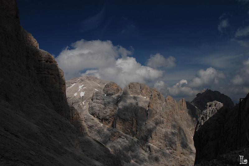 TorriVaiolet-030.JPG