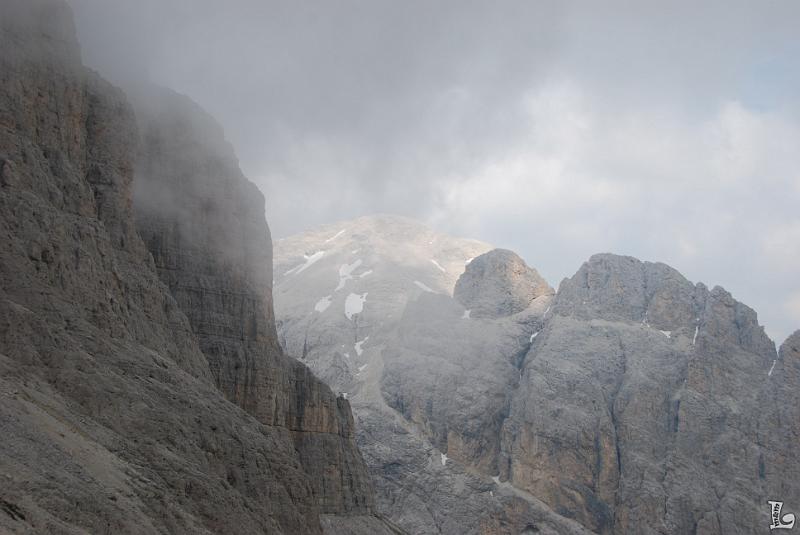 TorriVaiolet-047.JPG