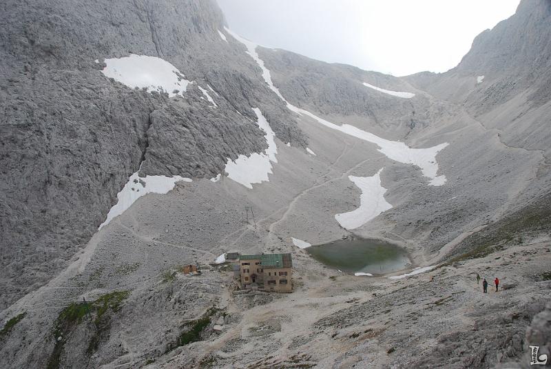 TorriVaiolet-051.JPG