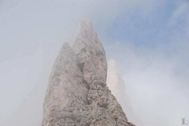 TorriVaiolet-102.JPG