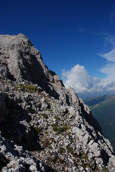 PaleDiSanMartino-005.JPG