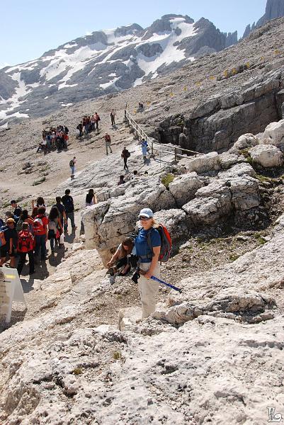 PaleDiSanMartino-007.JPG