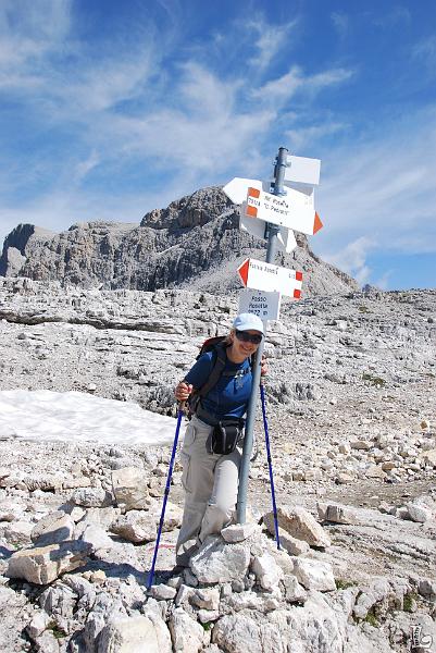 PaleDiSanMartino-017.JPG