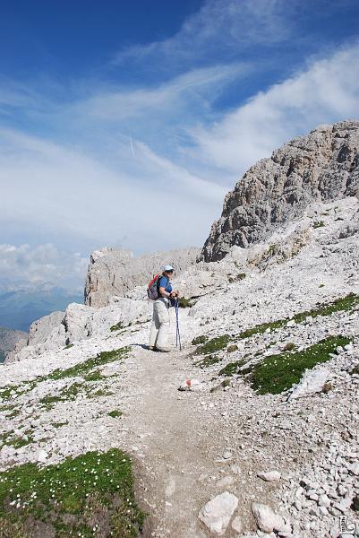 PaleDiSanMartino-022.JPG