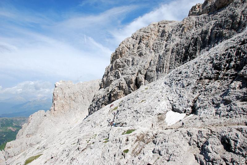 PaleDiSanMartino-023.JPG