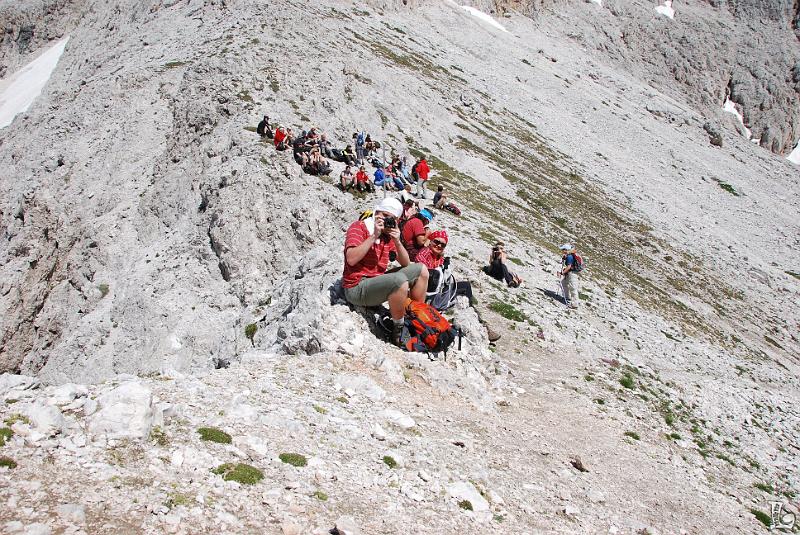 PaleDiSanMartino-031.JPG