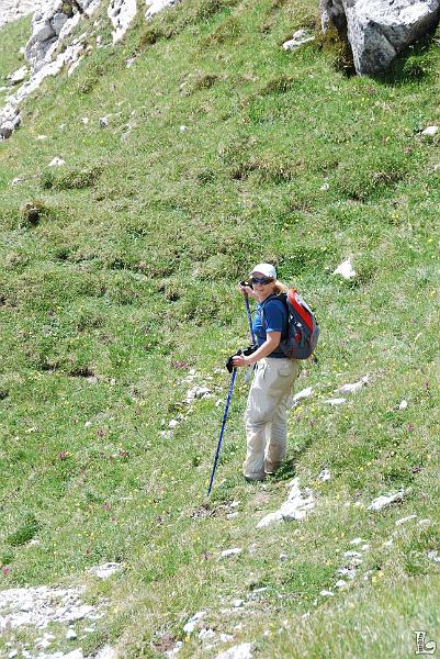 PaleDiSanMartino-072.JPG
